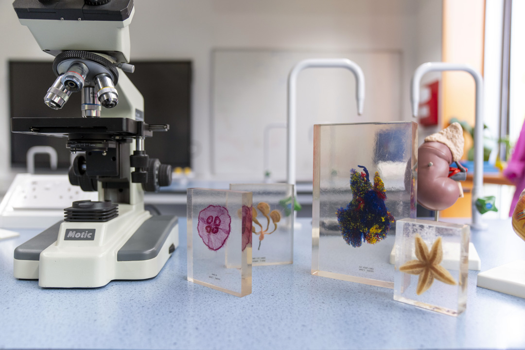 A close-up of a microscope and glass slides with preserved specimens on a science lab bench, perfect for exploring the tiny wonders of biology