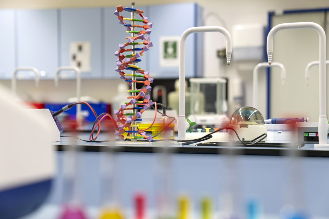 A colourful DNA model stands tall in the middle of a bright science lab bench, surrounded by equipment and science gadgets—ready for some creative experiments and discovery