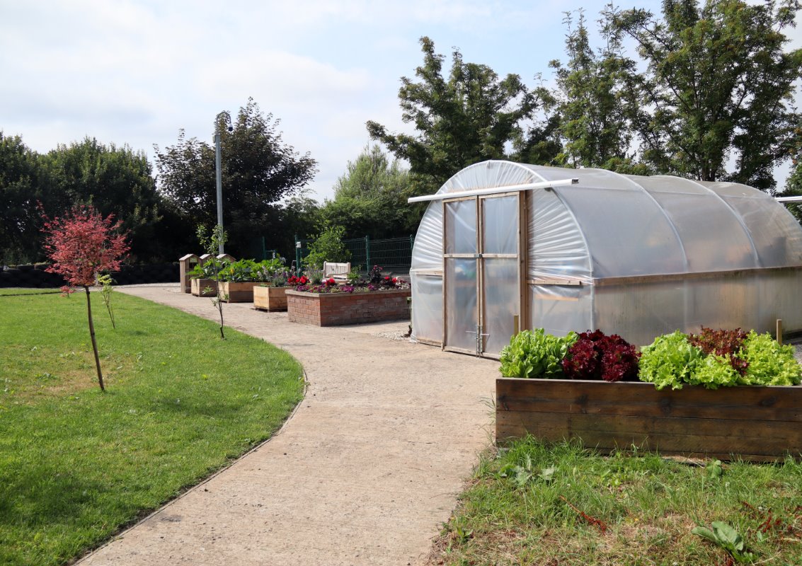 A tidy garden area at Glasgow Kelvin College featuring a clear polytunnel, raised flower beds, and a path lined with small trees and lush greenery.